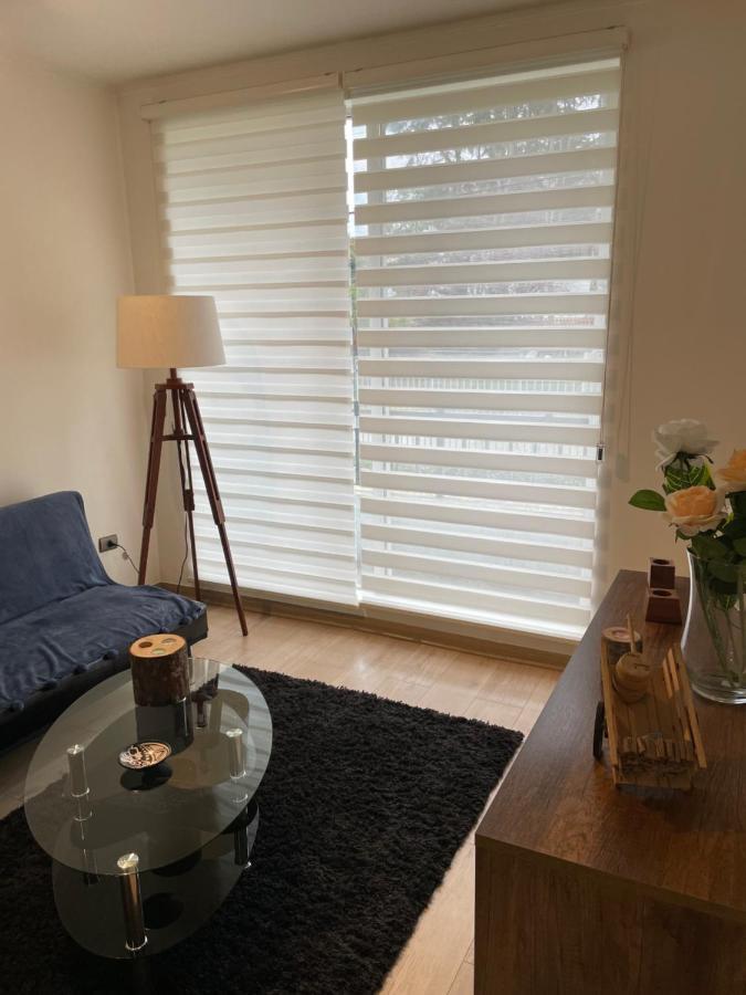 Apart Hotel R&P Depto A Puerto Varas Εξωτερικό φωτογραφία