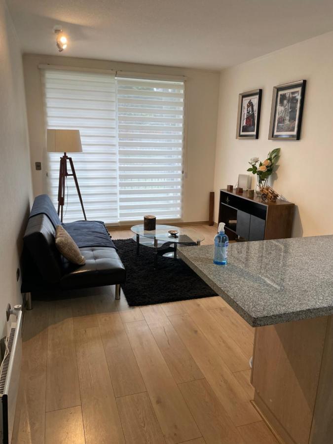Apart Hotel R&P Depto A Puerto Varas Εξωτερικό φωτογραφία